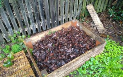 ‘Learning heaps’ – Volunteer Andrew’s compost journey